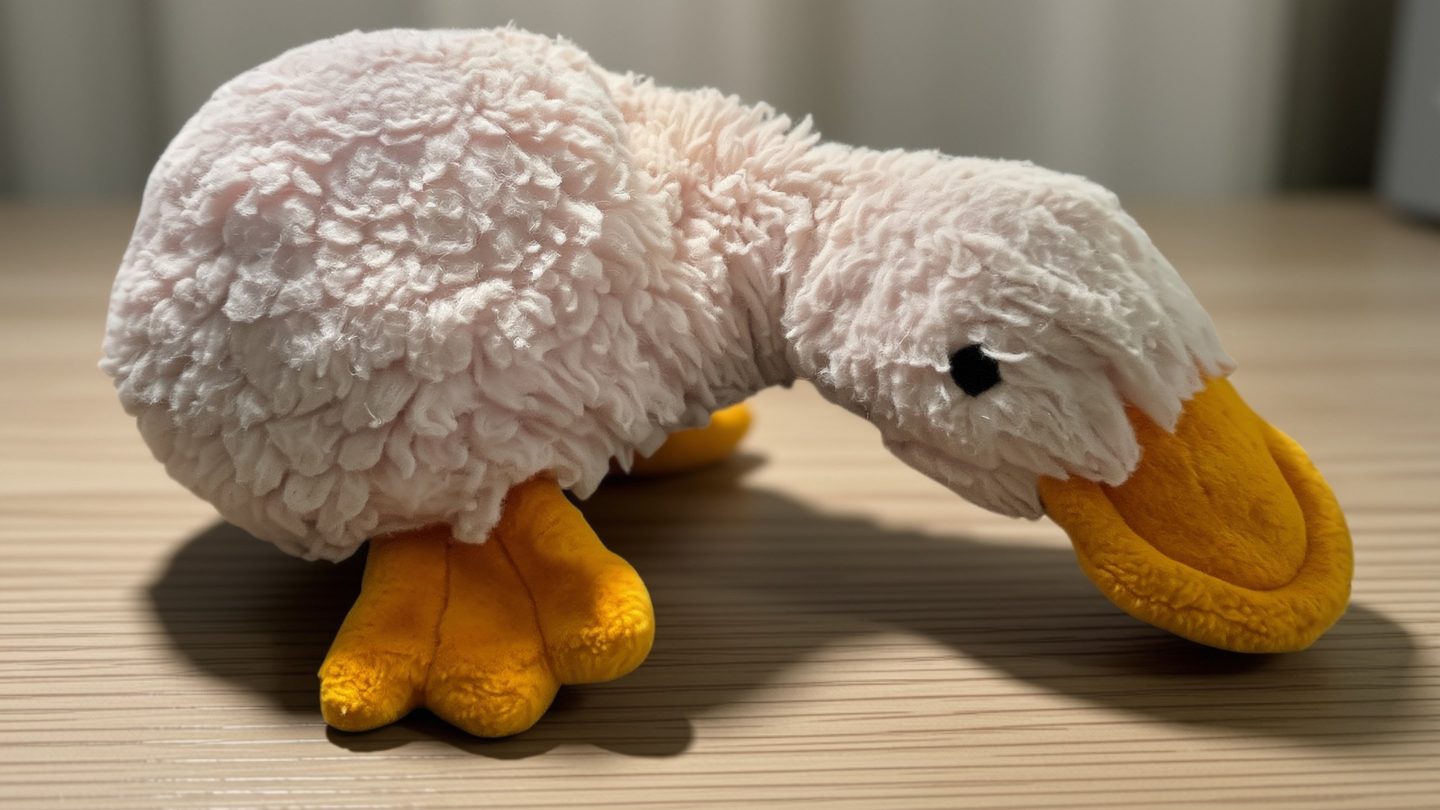The pink platypus today, still soft and pink with its orange bill and feet, decades after a four-year-old claimed it from the bottom bunk